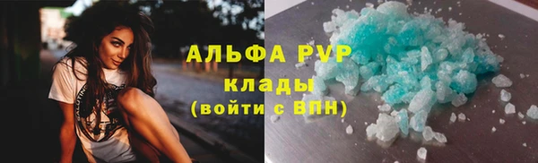 дживик Богородицк