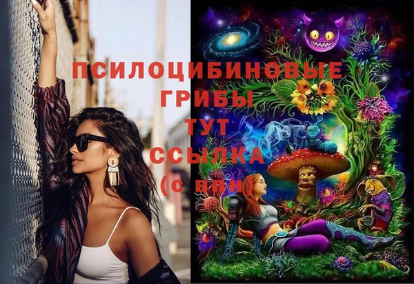 экстази Богданович