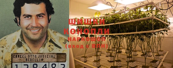 экстази Богданович