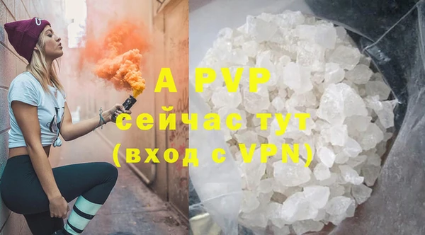 экстази Богданович