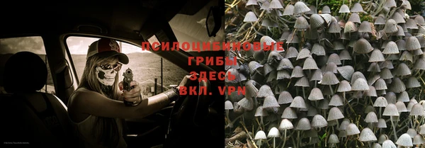 ALPHA PVP Богородск